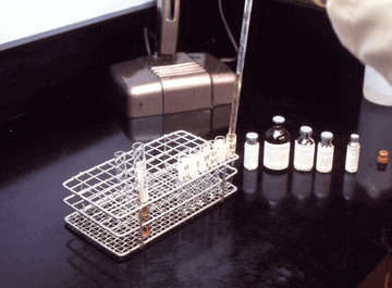 Transfection Reagents and Equipment Market : Transformative Advances During The Forecast Period From 2023-2030 