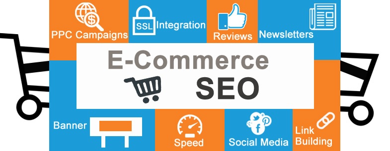 Professional E- Commerce SEO Services in India