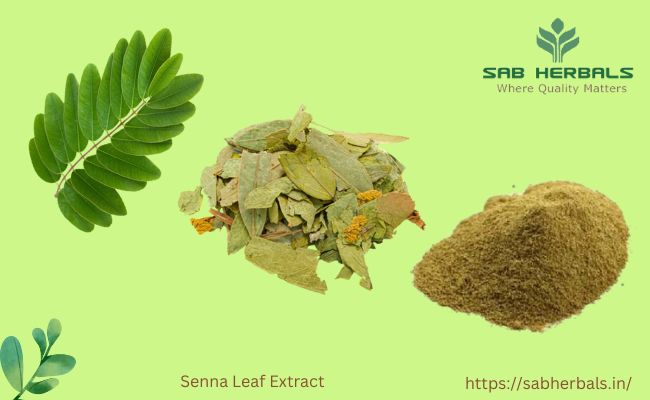 Calcium Sennoside manufacturer in India by Sab Herbals