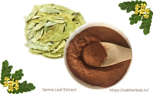 No.1 Senna leaf extract manufacturer in India