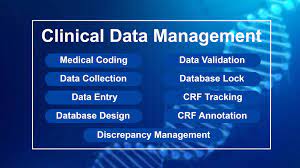 Best Clinical Data Management Services In India
