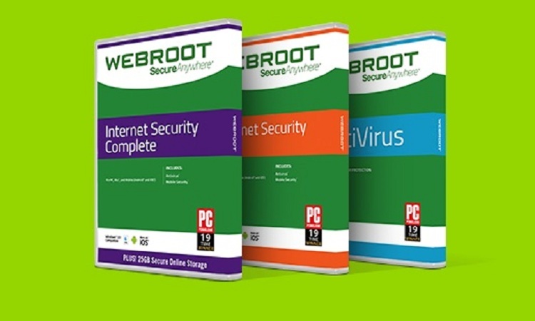 webroot.com/safe - enter webroot key Code
