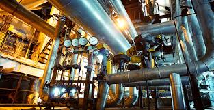 pest control industries in Norfolk VA