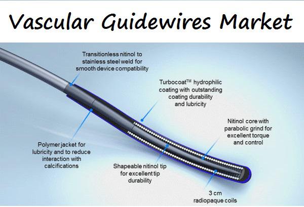 New Study On Vascular Guidewires Market Analysis Report By Key Players- Medtronic, Boston Scientific, C.R. Bard, Terumo, Abbott Laboratories