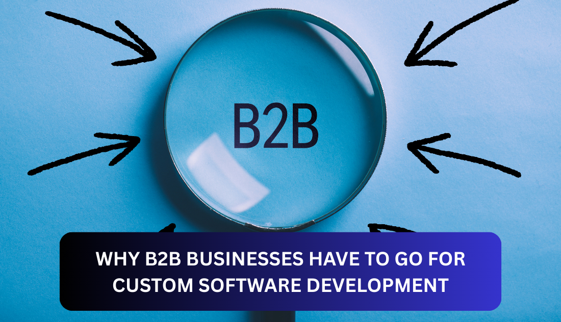 Why B2B Businesses Have to Go for Custom Software Development for Their Business