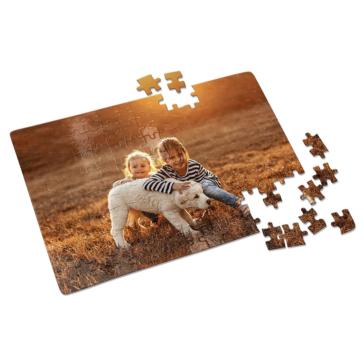 Jigsaw Puzzle Printing | Axiom Print