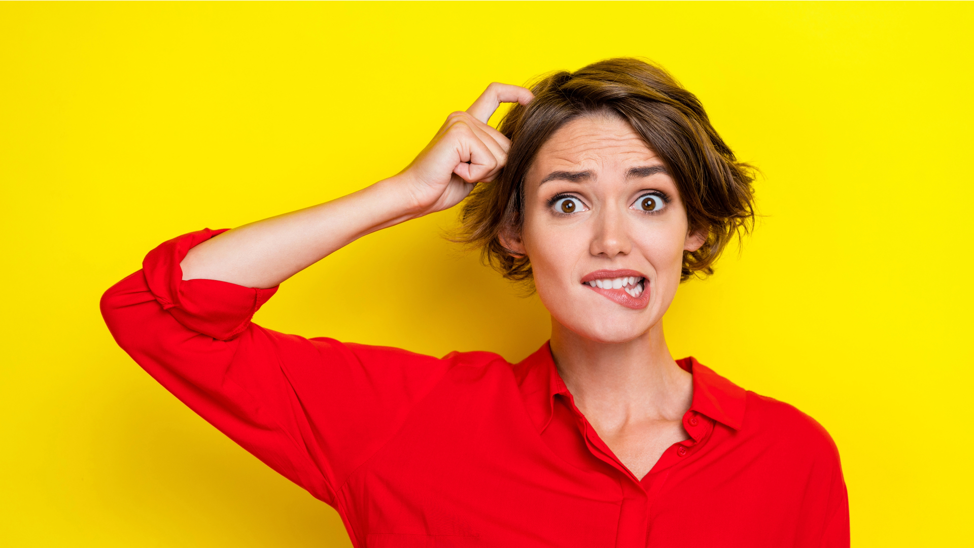 Google Ads vs SEO: Determining the Optimal Investment for Your Shopify Store