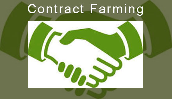 Global Contract Farming Market 2022 - Top Key Players Analysis Report Till 2030