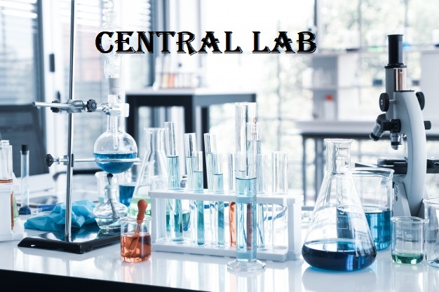 Central Lab Market 2022 Major Key Players and Industry Analysis Till 2030