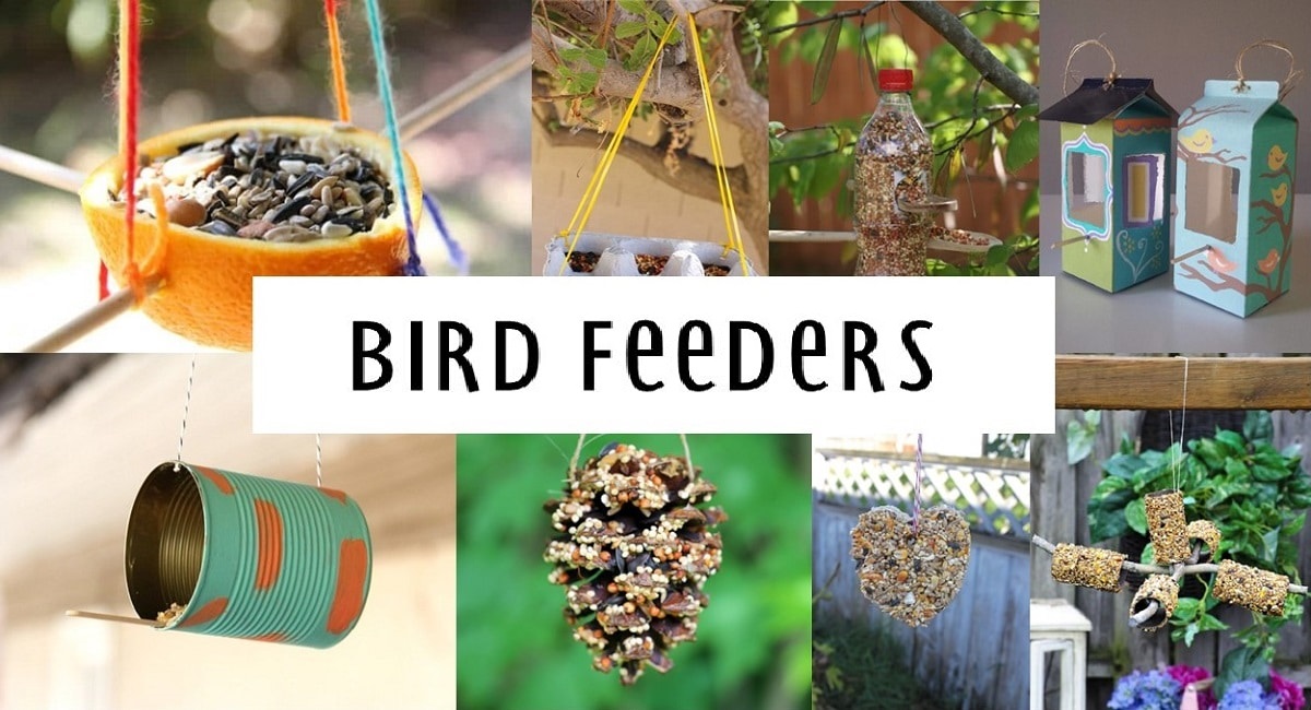 Bird Feeder Market Size, In-depth Analysis Report and Global Forecast to 2030