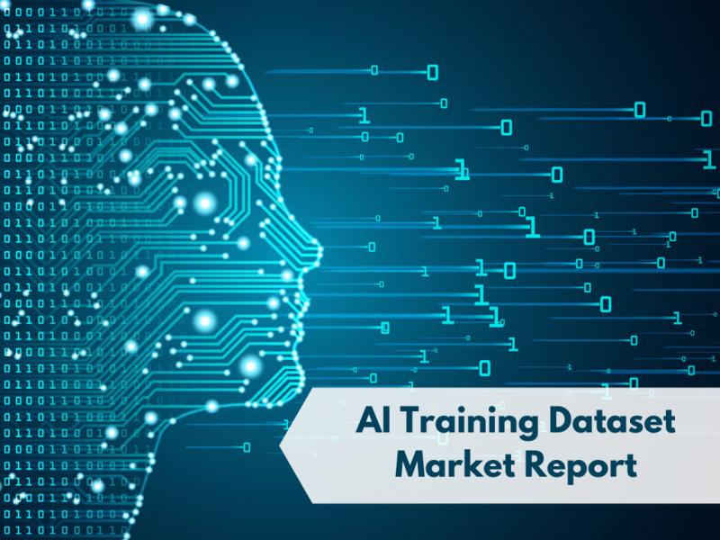 AI Training Dataset Market | Global Industry Trends, Segmentation, Business Opportunities & Forecast To 2030