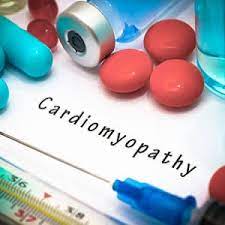 Canine Dilated Cardiomyopathy Drugs Market Size, Share, Growth, Opportunities and Global Forecast to 2030