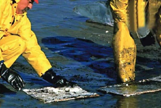 Exploring the Petroleum Sorbent Pads Market: Detailed Insights on Size, Growth Potential
