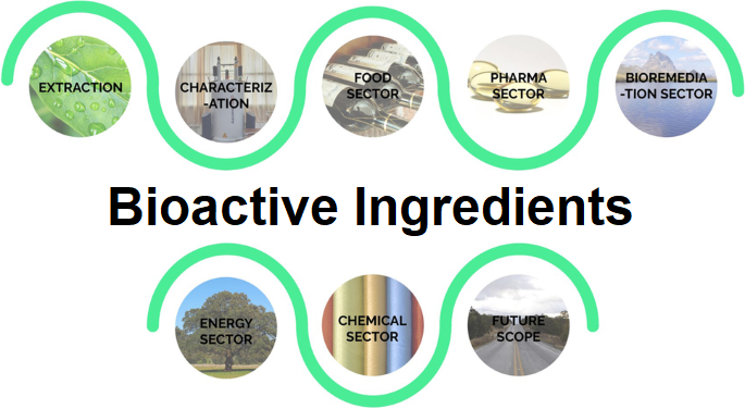Bioactive Ingredients Market: An In-depth Analysis of Market Dynamics, Trends, and Future Prospects