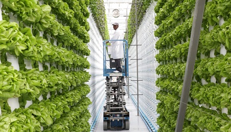 Vertical Farming Market Trends and Analysis: Comprehensive Overview of Market Size, Share, and Growth