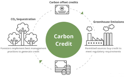 Voluntary Carbon Credit Market Analysis Report By Project, Application, End-use, And Growth Forecasts