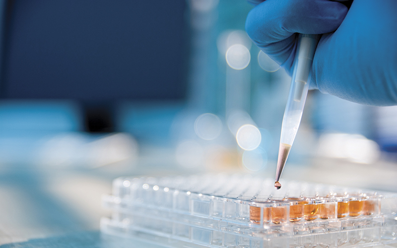 In Vitro Diagnostics Market Report: Size, Share & Future Growth Insights