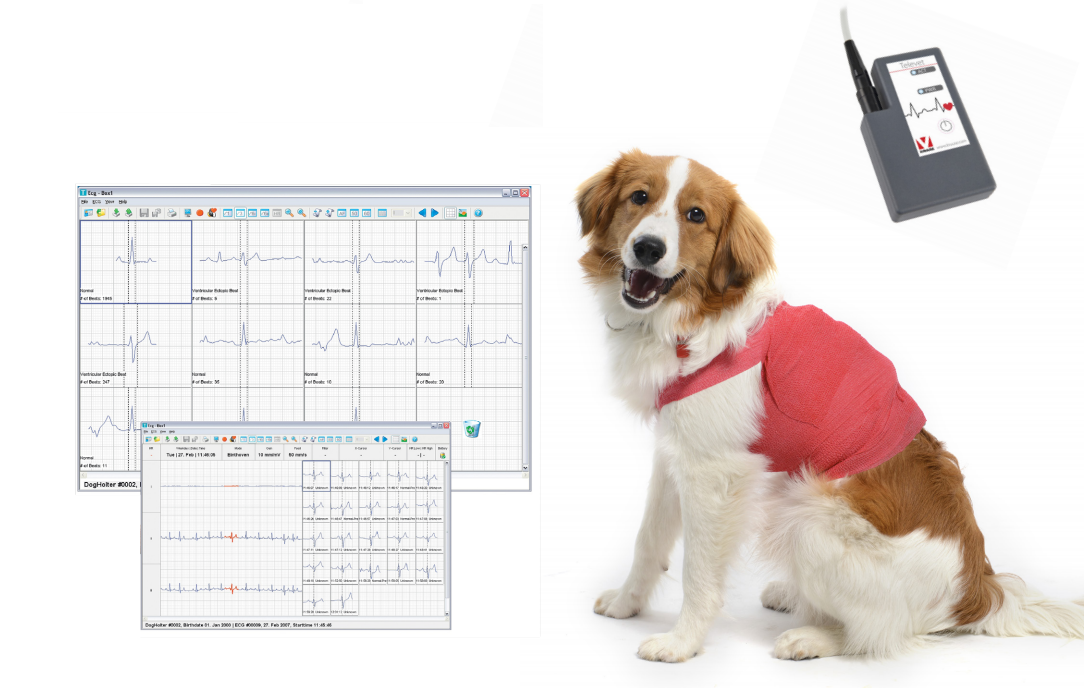 Veterinary ECG Systems Market Trends and Analysis: Comprehensive Overview of Market Size, Share, Growth