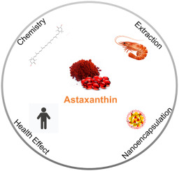 Astaxanthin Market Analysis: Key Players, Applications, and Future Prospects