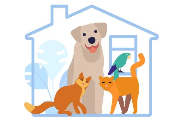Pet Daycare Market in the U.S.: Demand Drivers and Competitive Landscape