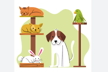 In-Depth Study of Pet Hard Goods Market Dynamics: Evaluating Market Size, Growth Forecast