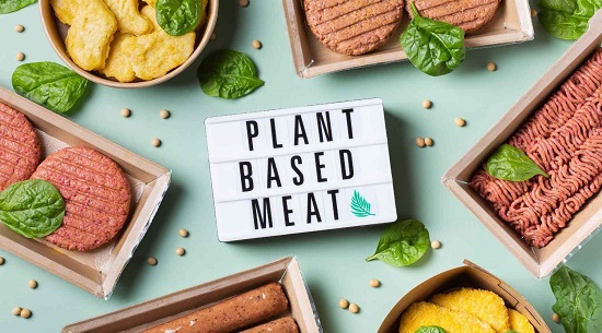Market Dynamics and Competitive Landscape of the Plant-Based Meat Industry in Europe