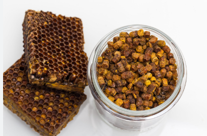 Bee Bread Market Insights: Detailed Overview of Market Size, Share, and Projected Growth