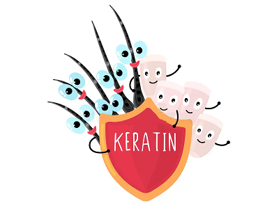 Keratin Market: Shaping the Future of Hair and Skin Care Industries