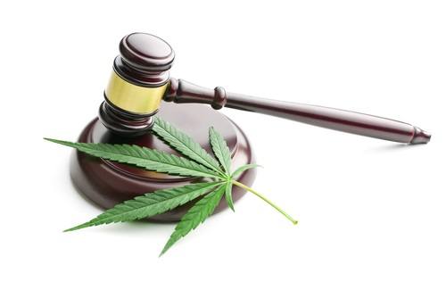 Legal Marijuana Market: Challenges and Opportunities for Small Businesses