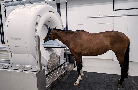 Future Outlook of the Equine Imaging Services Market: Analyzing Size, Growth Patterns
