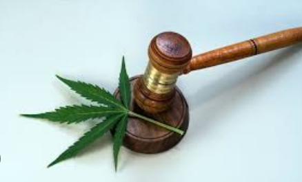 North America Legal Cannabis Market Trends and Analysis: Comprehensive Overview of Market Size, Share, and Growth