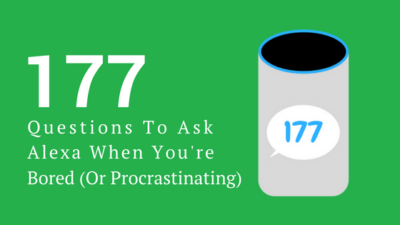 177 Questions To Ask Alexa When You’re Bored (Or Procrastinating)