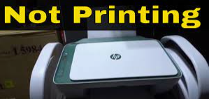 Why is my HP Printer not printing and how to fix it? Call +1 (888)-668-0962 