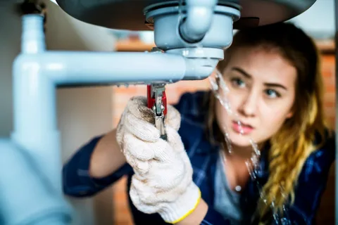 The Role of a Plumber in Home Maintenance