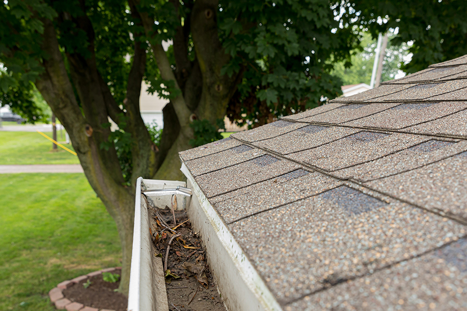 Commercial Gutter Cleaning: Protect Your Business Property