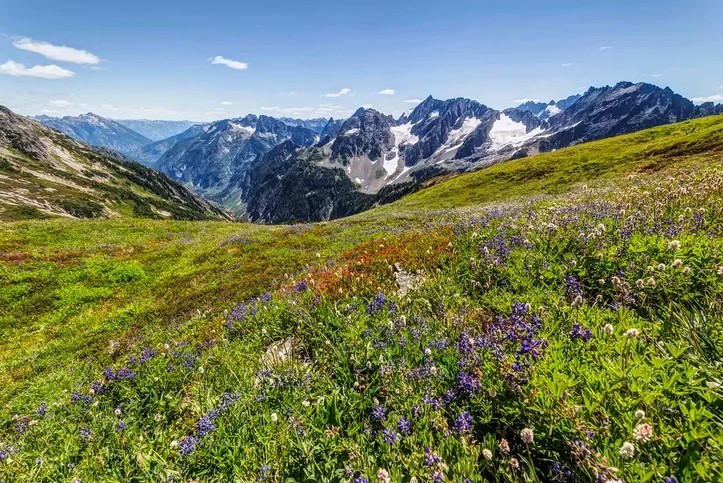 Exploring the Magic of Winter: Why the Chilly Season Can Be So Delightful!