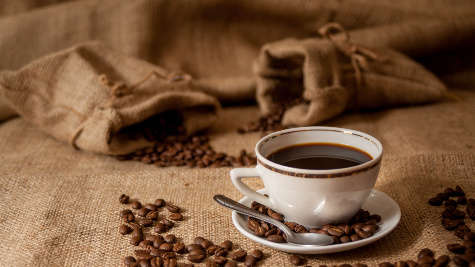 Mastering the Art of Assessing Coffee Bean Quality: A Guide to Arabica, Single Origin, and More