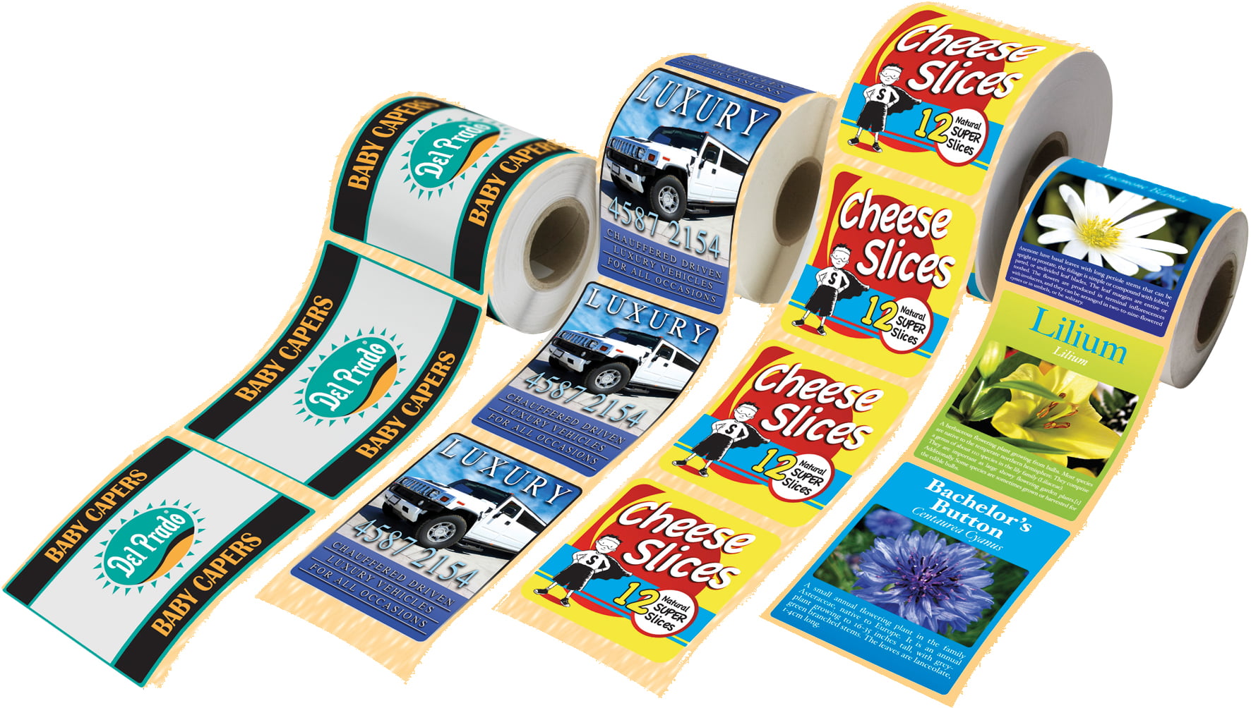 Top 5 Eco-Friendly Sticker Materials: Sustainable Solutions for Printing