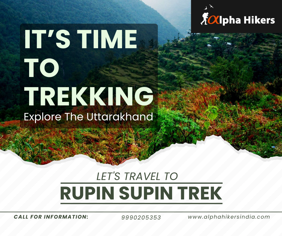 Exploring the Beauty of Nature: Rupin Supin Trek with Alpha Hikers