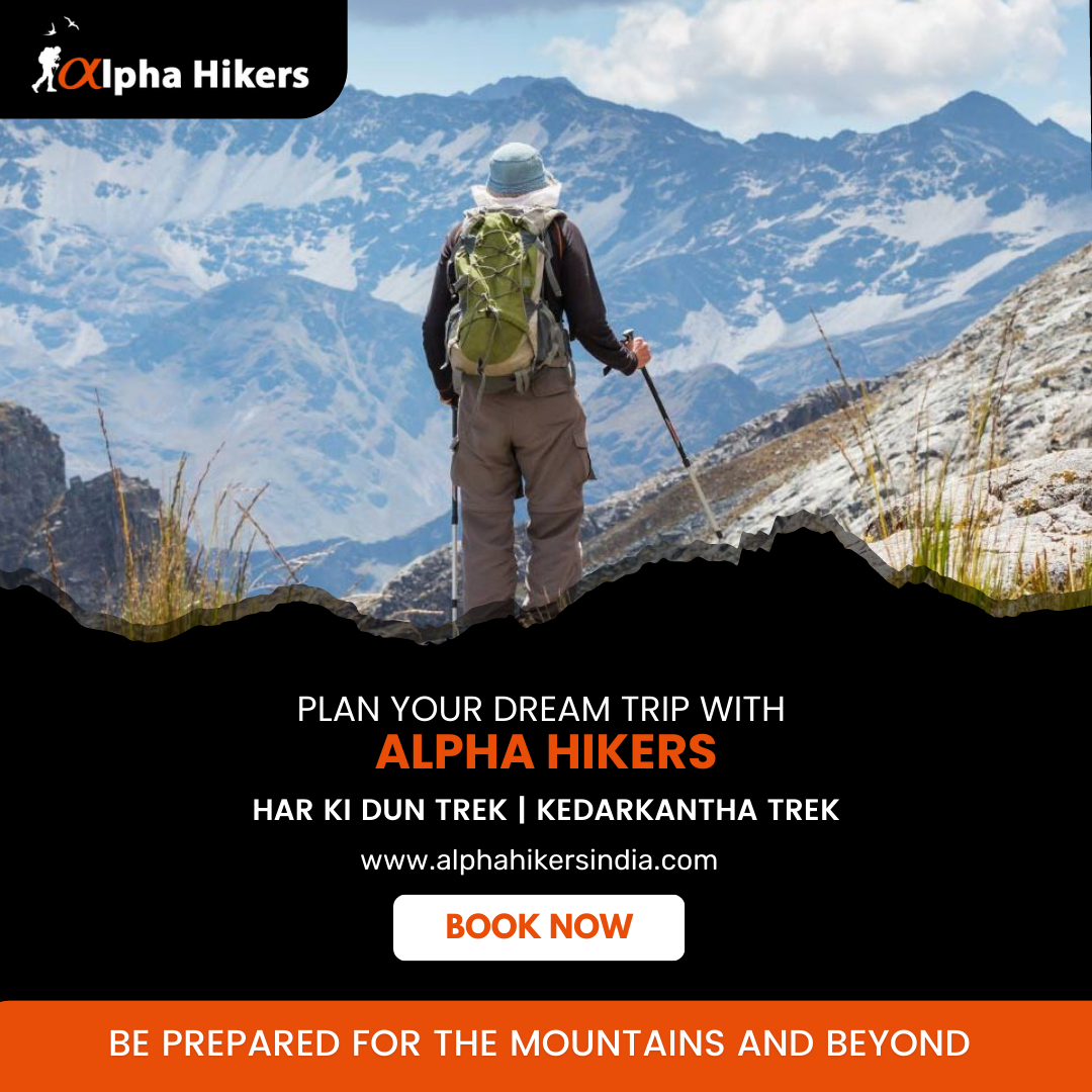 Alpha Hikers: Your Gateway to the Best Trekking Company in India and Har Ki Dun Trekking Package