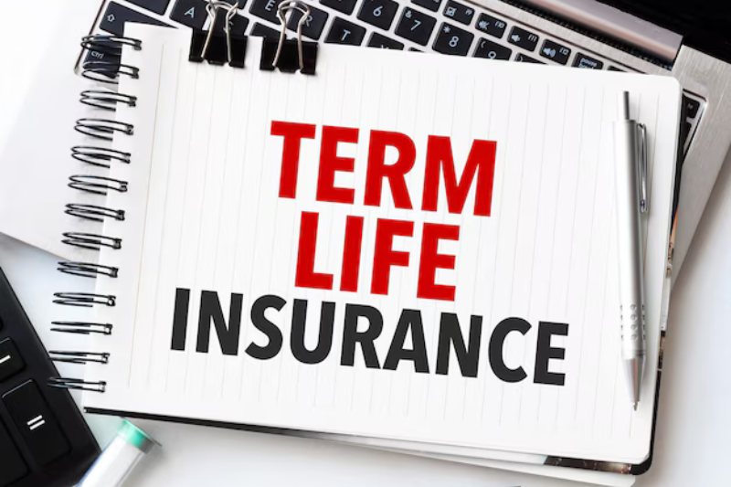 How Do I Take A Term Plan Online?
