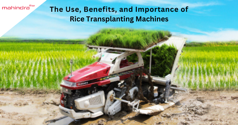 The Use, Benefits, and Importance of Rice Transplanting Machines