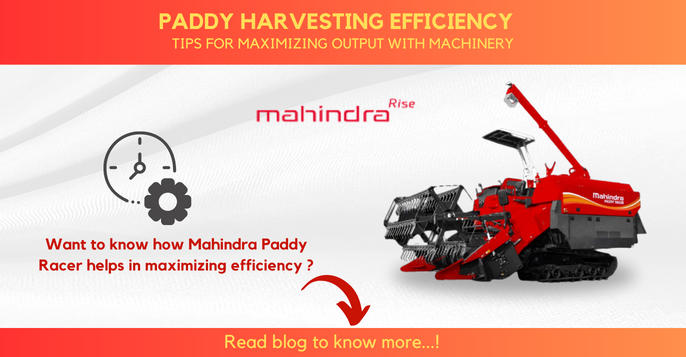 Maximizing Paddy Harvesting Efficiency: Tips for Optimal Output Using Machinery