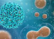 Microbial Fermentation -- a Cost Effective Way to Obtain Peptides