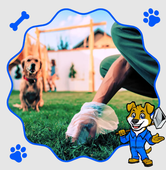 Reliable Dog Poop Pickup in DFW – Professional & Hassle-Free Yard Cleaning
