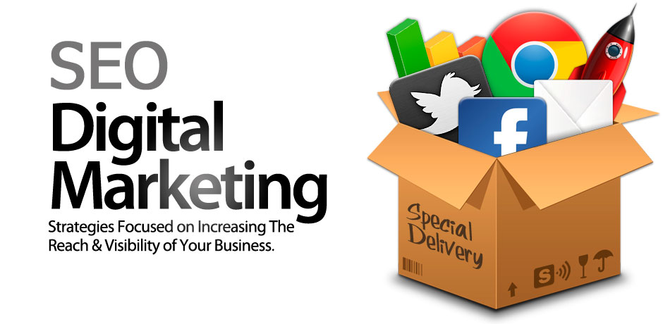 Soft Radix | Web Application Development and Best SEO Company in india