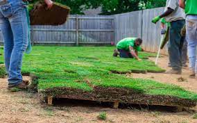 Garden Companies in Dubai
