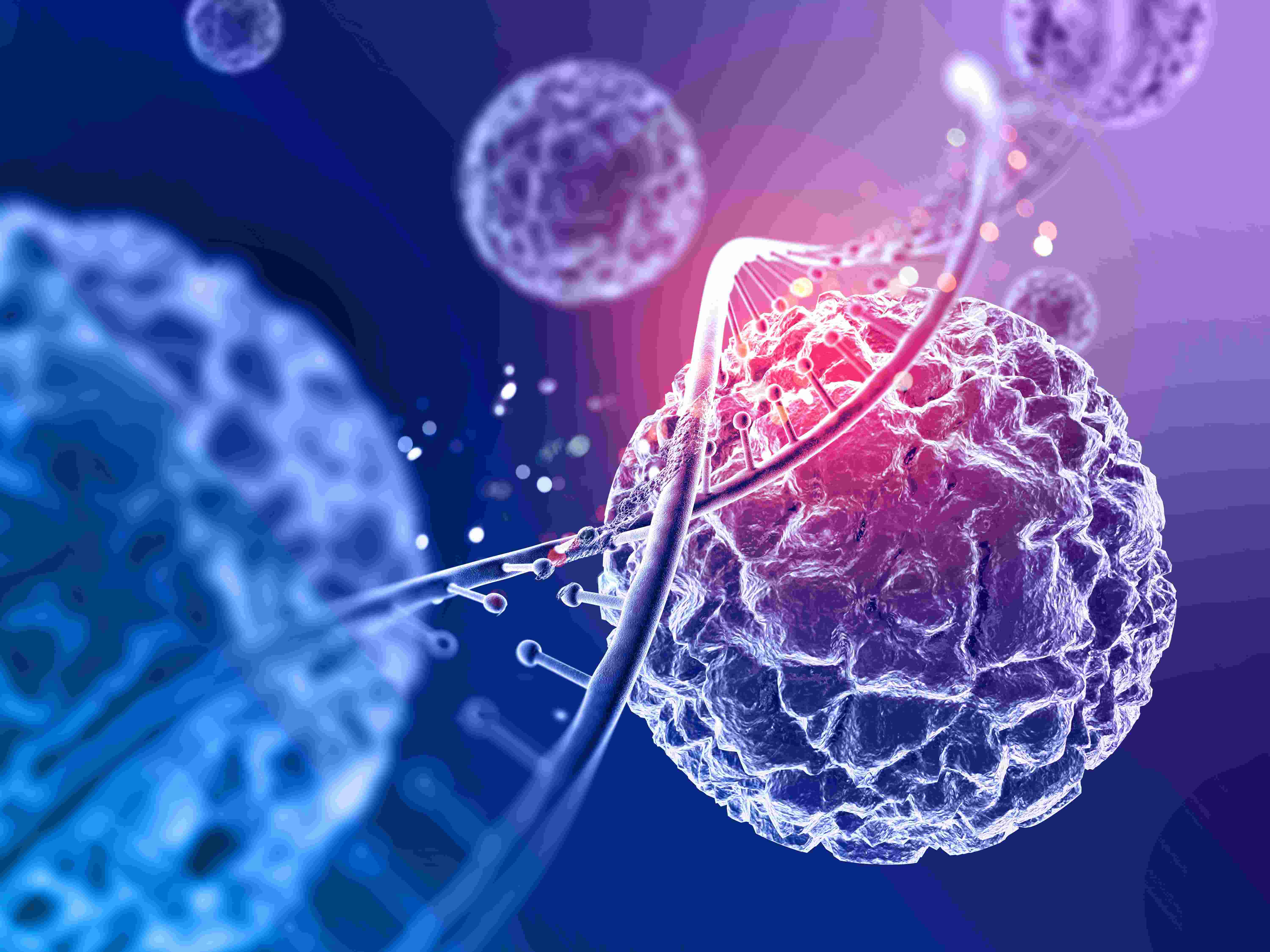 Enhancing Immune Strength With Rasayana Ayurveda 