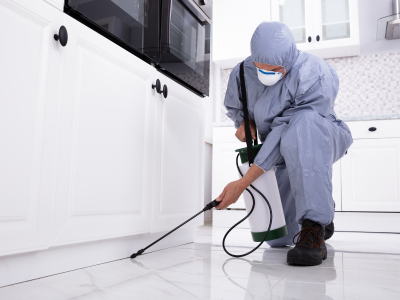 Pest Control in Bakersfield Ca