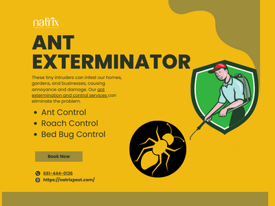 Red Imported Fire Ants: Controlling These Aggressive Pests